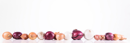 panorama of various onions in front of a white backgroundの写真素材