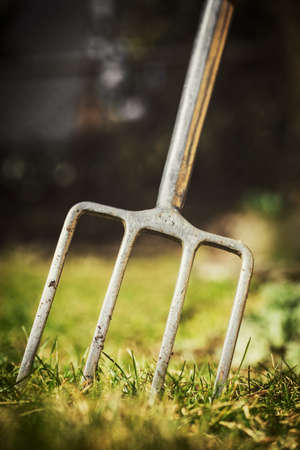 Digging fork in the garden, gardening tool for a gardener, copyspaceの写真素材
