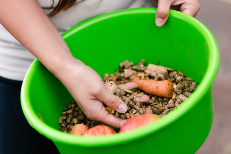 bowl of organic horse fodder, closeup with femals hands, horse baitの写真素材