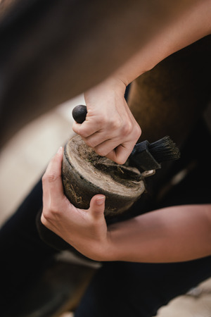 woman cleaning and picking a horse hoof, animal care, detailsの写真素材