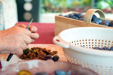Deseed and cleaning Damson or plums for homemade jam or cake, closeup from female hands