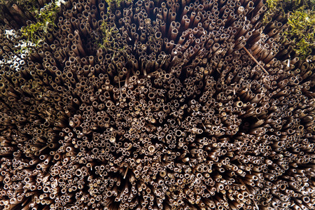 closeup of an thatched roof with straw or reed