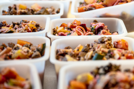 Selfmade cooked dog food for a healthy and balanced nutrition, lots of bowls filled with cooked dog mealの写真素材