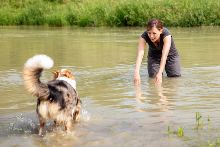 Young Woman standing in a River and decoying her young dog, trainee and Learningの写真素材
