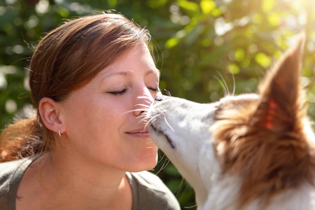 cute puppy dog is licking the face of a pretty young woman, outdoors with green plants in the backgroundの写真素材