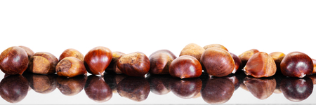 Panorama with many raw chestnuts isolated against white backgroundの写真素材