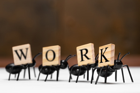 Four ants carry letters that make up the word workの写真素材