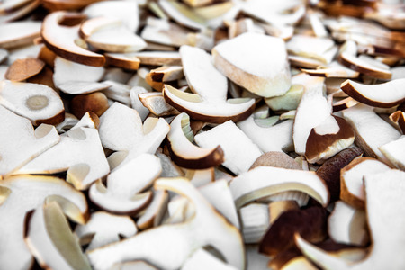 Fresh and raw cutted Boletus Edulis, Porcino Mushroomsの写真素材