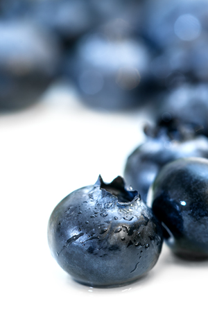 Closeup of Vaccinium myrtillus berries, fresh blue fruits on white backgroundの写真素材