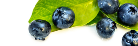 Panorama, fresh raw blueberries and green leaves isolated on white backgroundの写真素材