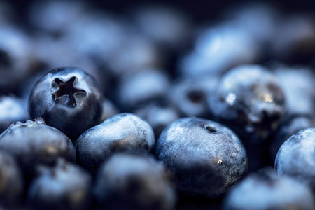 Fresh raw blueberries background, closeup of Vaccinium corymbosumの写真素材