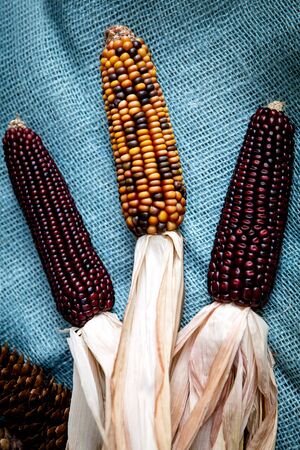 corncobs and pine cones on blue jute