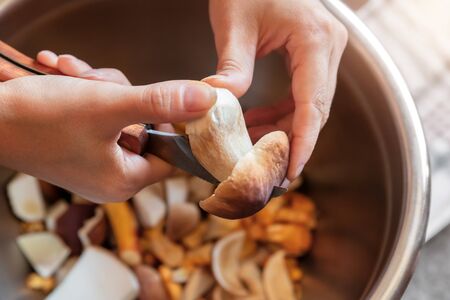woman is cleaning and cutting porcini mushrooms and chanterelles, topview, closeupの写真素材