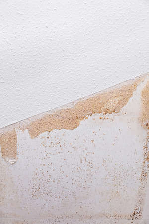 soaked white wallpaper is removed from the wall, concept renovationの写真素材
