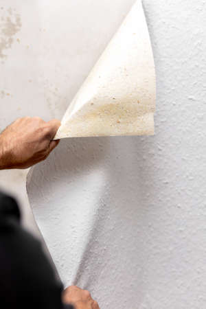 white soaked wallpaper is peeled off the wall by a craftsmanの写真素材