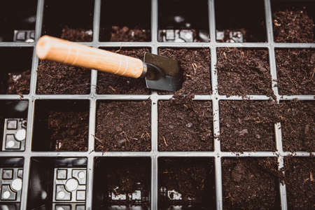 earth is filled into bowls or trays, preparing for propagation of various seedsの写真素材
