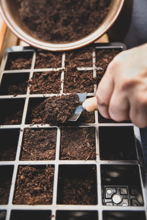 earth is filled into bowls or trays, preparing for propagation of various seedsの写真素材