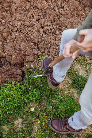 man is digging with a gardening fork in his garden, concept agriculture or hobby gardening