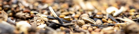 banner or header with bee friendly wildflower and flower seedの写真素材