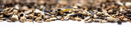 banner or header with bee friendly wildflower and flower seedの写真素材