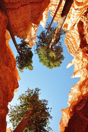 Bryce National Park, UTの写真素材