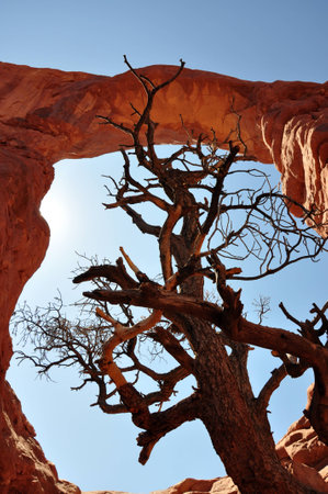 Arches National Park, UTの写真素材