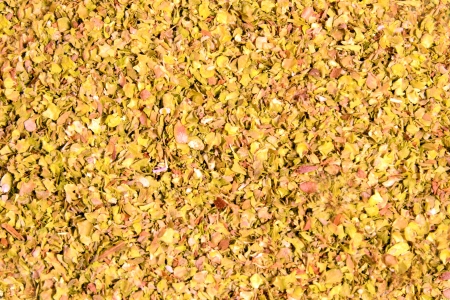 Wild marjoram original spice used in mediterranean area