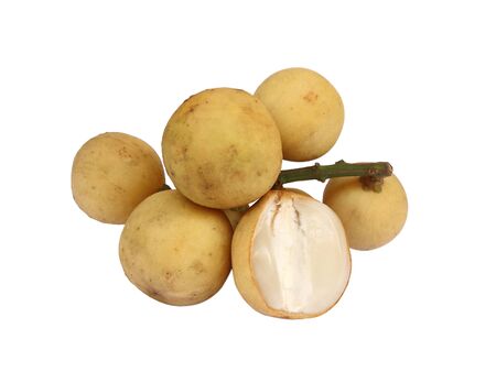 Wollongong fruit isolated on white background.