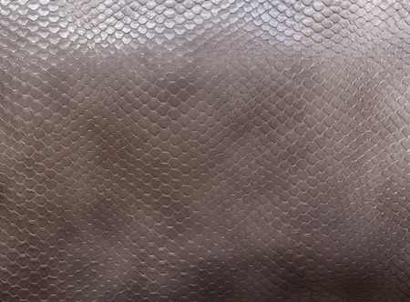Gray Snake Leather texture background