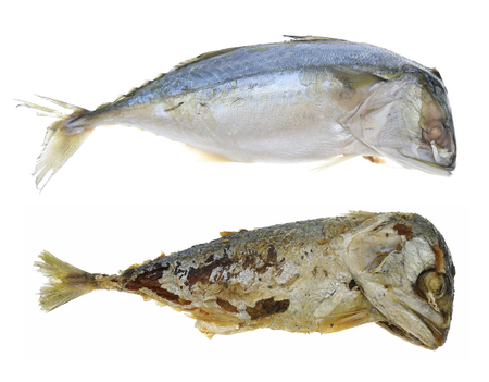 Mackerels isolate on white background.の写真素材
