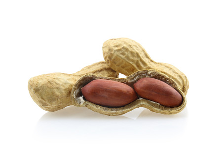 peanuts isolated on white background.