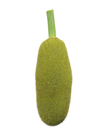Jackfruit isolated on white background.