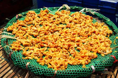 The spawn of Trichogaster pectoralis dried and ready for sale in Thailand street marketの写真素材