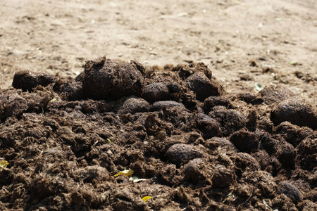 Rhinoceroses' dung in zoos is used for agriculture.