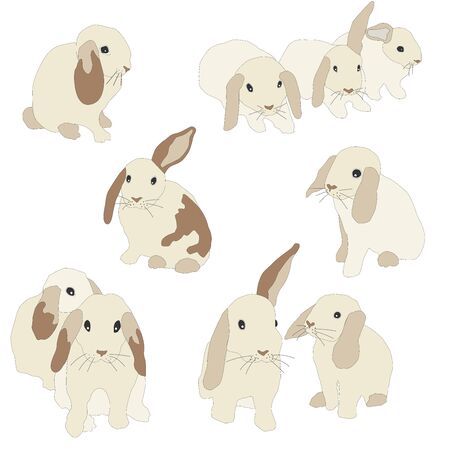 Set of cute funny bunnies. Cute hand drawn design. Bunny Set (one of three). Flat Vector Illustrationのイラスト素材