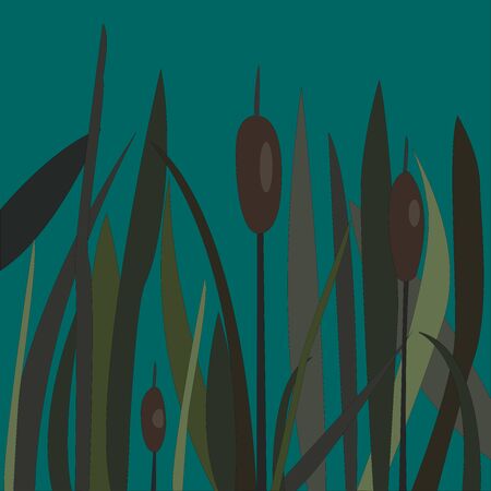 Silhouette of Reed on subtle green background. Vector Illustrationのイラスト素材