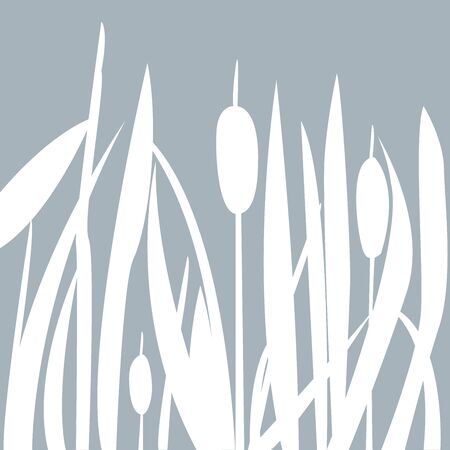 Silhouette of Reed on subtle green background. Vector Illustrationのイラスト素材
