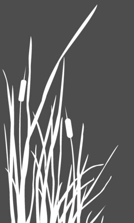 Bush of Swamp Reed on a Lake. vector Illustrationのイラスト素材