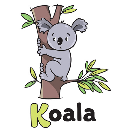 Children vector illustration of funny koala bear on eucaliptus tree. Alphabet Kのイラスト素材