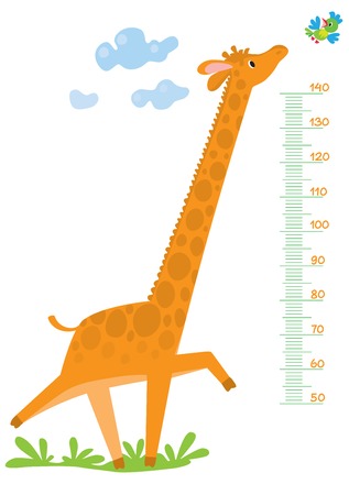 Funny running giraffe run across the grass behind the bird. Meter wall or height meter from 50 to 140 centimeterのイラスト素材