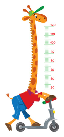 Giraffe on scooter. Meter wall or height chartのイラスト素材
