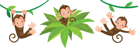 Little funny monkeys on lians. Illustrations setのイラスト素材