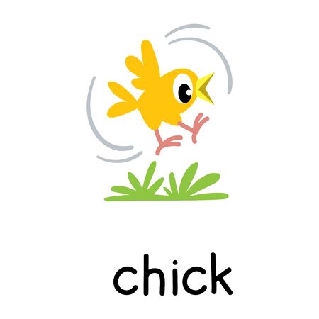 Chick or chicken vector illustration. Farm animalsのイラスト素材