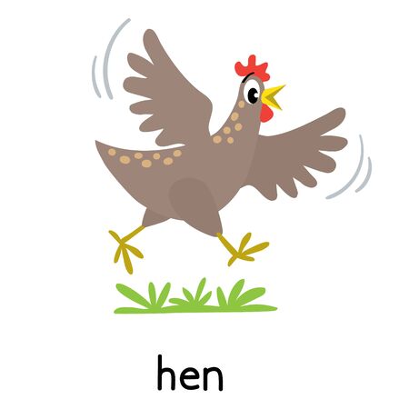 Chicken or hen vector illustration. Farm animalsのイラスト素材