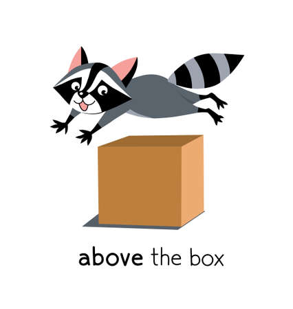 Preposition of place. Raccoon above the boxのイラスト素材