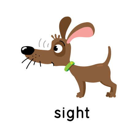 The dog stands and looks. Five senses. Sightのイラスト素材