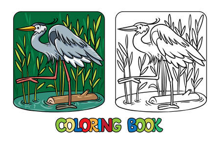 Heron coloring book. Children vector illustration. Coloring page of funny bird running on its paws.のイラスト素材