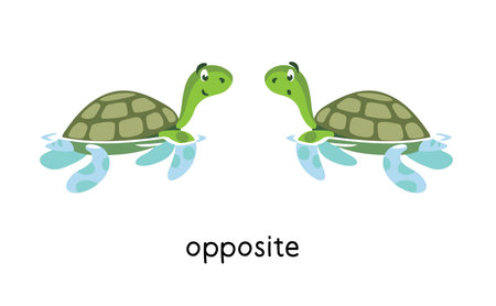 Preposition. Turtles are OPPOSITE each otherのイラスト素材