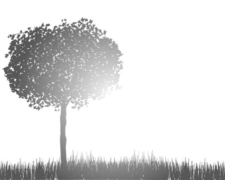 silhouette of tree on the lawnのイラスト素材