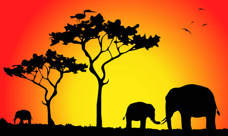elephants at sunset in the savannahのイラスト素材